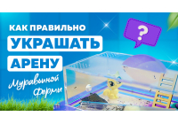 Чем можно и чем нельзя украшать арену формикария